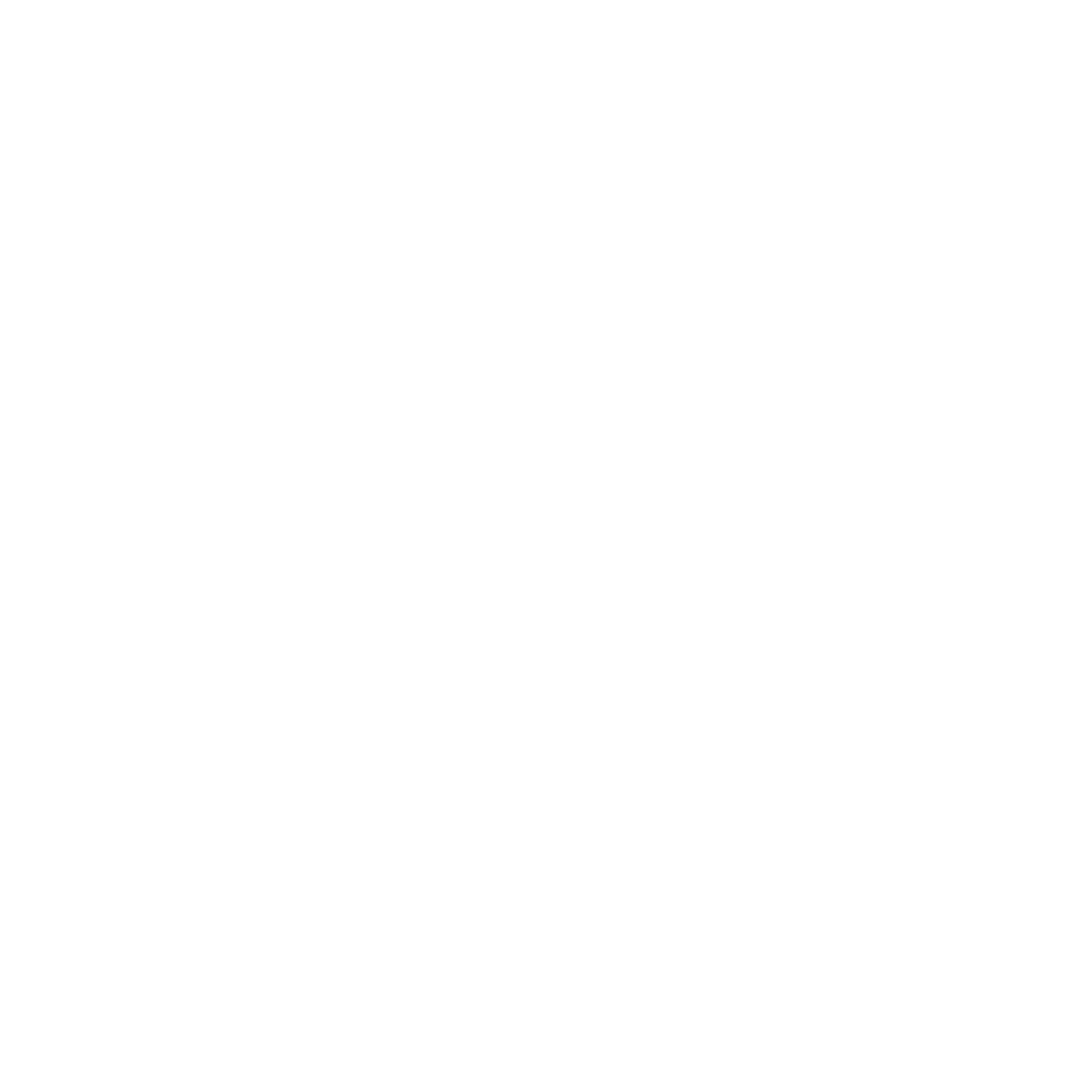 IPTVISION